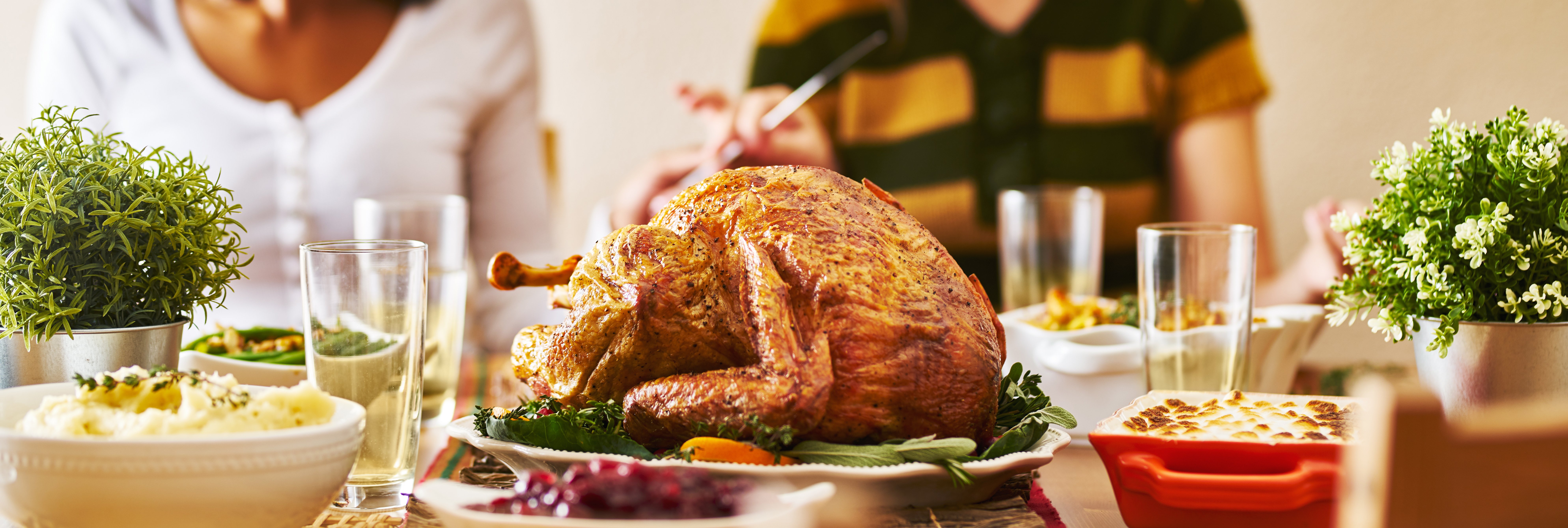 AdobeStock_292622669
